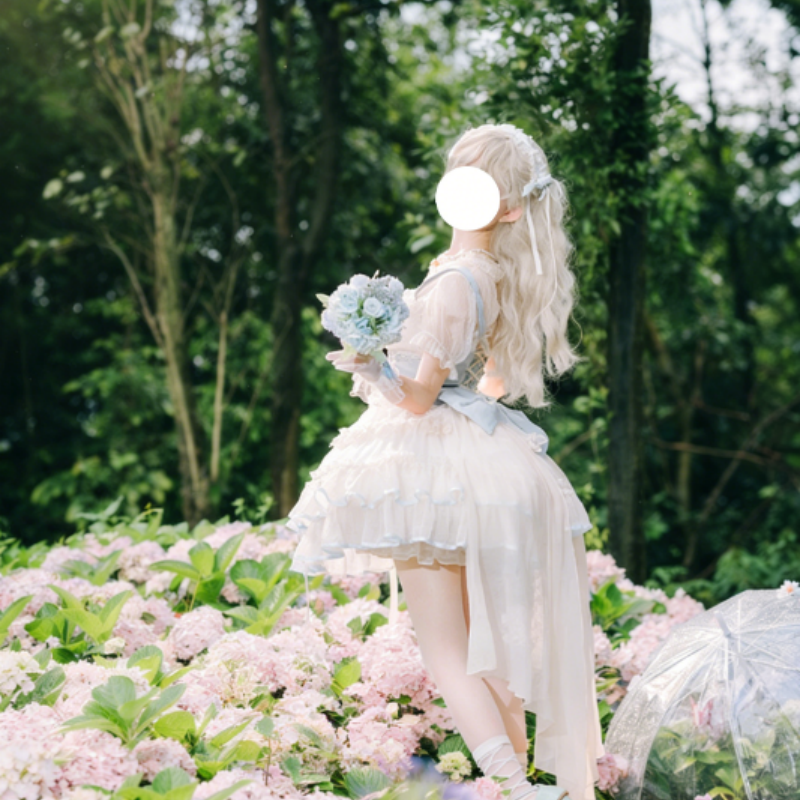 Robe Lolita Style Ballet Court Manches Courtes Dentelle Jupe à Multi couches